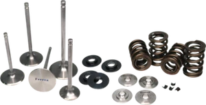 Kit de resorte de doble válvula Ferrea para 1999-2000 Suzuki GSX 1300R Hayabusa - Pieza - Imagen 1 de 1