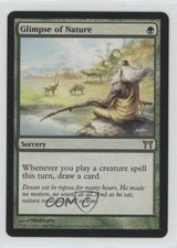 2004 Magic: The Gathering - Champions Kamigawa Glimpse of Nature #210 n0n
