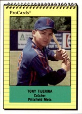1991 Pittsfield Mets ProCards #3426 Tony Tijerina Cedar Park Texas Baseball Card