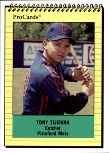 1991 Pittsfield Mets ProCards #3426 Tony Tijerina Cedar Park Texas Baseball Card