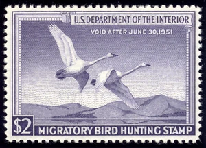 US RW17 $2 Hunting Permit Stamp 1950 Trumpeter Swans in Flight VF NH - Picture 1 of 2