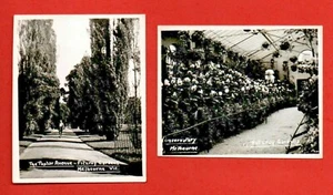 1930 Foto real FITZROY JARDINES Melbourne VIC Au planta animal botánico pájaro - Imagen 1 de 2