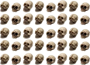 40Pcs Halloween Mini Skulls Miniature Skeleton Head Figurine for Halloween Decor - Picture 1 of 7
