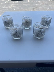 5 Indianapolis Motor Speedway Glasses Tony Hulman Indy 500 Winners Gift 1969 - Picture 1 of 5