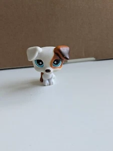 LPS Littlest Pet Shop #151 Jack Russell - Picture 1 of 4