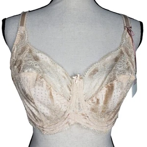 Panache Full Cup Clara Bra 36F Underwire Full Coverage Unlined Lace NEW - Picture 1 of 5