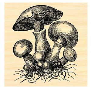 P46 Mushrooms vintage style rubber stamp Wood mounted
