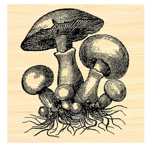 P46 Mushrooms vintage style rubber stamp Wood mounted - Picture 1 of 1