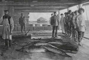 Armenia, fishermen on the Kura River.....Antique engraving  1892 - Picture 1 of 2