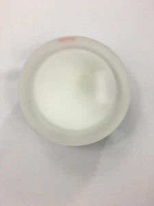 PLC Lighting 6571 SN Frosted Glass Wall/Ceiling NEW BJ - Picture 1 of 4