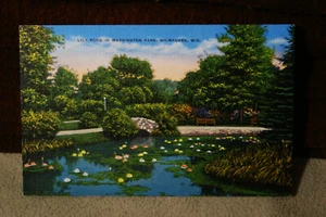 Lily Pond in Washington Park - Milwaukee - Wisconsin - Picture 1 of 2