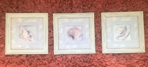 Seashell Glass White Wash Framed 11 x 11 Pictures - Set of 3. - Picture 1 of 5