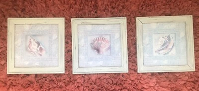 Seashell Glass White Wash Framed 11 x 11 Pictures - Set of 3. - Image 1 of 4
