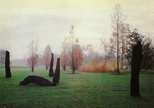 AK Tova Beck-Friedmann "Ausschnitte aus einem verlorenen Wald..." 1992 GFS NJ POSTFRISCH - Bild 1 von 1