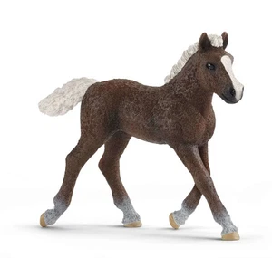 SCHLEICH, Poulain Forêt-Noire, échelle , SHL13899 - Picture 1 of 1
