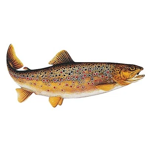 Jenzi Pêche Poisson - Autocollant ca.15cm - Photo 1/5