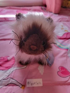 Ganz Webkinz Himalayan Cat 9" Plush HM165 - Pre-Owned/NO CODE - Picture 1 of 5