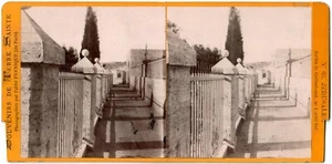 Palestine.Israël.Jérusalem.Jardin Gethsémani.Albuminé.Stereo Photo Abbé Fernique - Picture 1 of 1