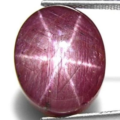 AIGS Certified INDIA Star Ruby 24.49 Cts Natural Untreated Purplish Red Oval - Image 1 of 4