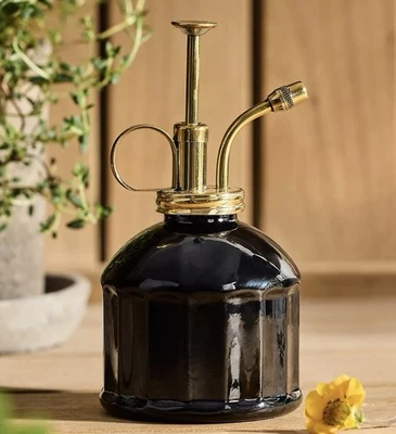 Anthropologie Color Vidrio Latón Planta Mister Terreno Decoración del Hogar Negro Funcional Foto 1 de 4