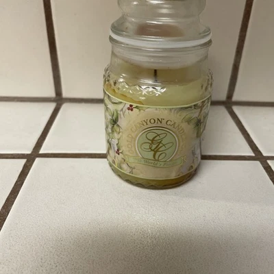 Gold Canyon Candle Days Of Christmas 🎄5 盎司 停产 硬 2 找到 全新 — 第 1/4 张图片