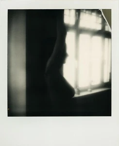 Imagen Polaroid desnuda ARTE original renacimiento del pájaro por Herr Merzi 031 - Imagen 1 de 1