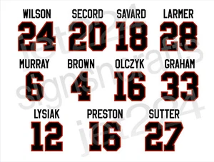 Chicago Blackhawks DECAL STICKER 80s Wilson Savard Larmer Secord Sutter Lysiak + - Picture 1 of 24