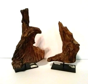 2 Anthropologie Art Wood On Stands Nature Inspired Sculpture Decor - Picture 1 of 9