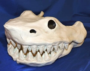 Halloween CRAZY BONEZ Temporadas Huesos Esqueleto Grande Articulado Plástico Calavera de Tiburón - Imagen 1 de 9