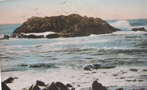 Spencers Bird Rock Carmel Cypress Point Carmelo the Sea, CA cartolina d'epoca DIVISA - Foto 1 di 2