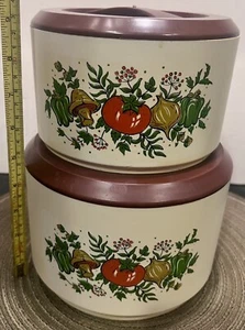 Vintage 70s Spice of Life Sterilite Canister Food Container Nesting Pair w/ Lids - Picture 1 of 24