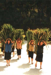 Cuoc Song Doi Thuong Vida diaria en Vietnam #8 Mujeres regresando con postal recortada - Imagen 1 de 2