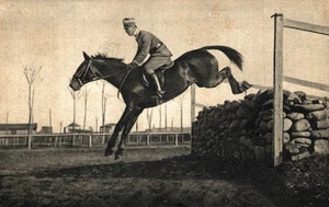 PINEROLO, Torino - Scuola di Cavalleria - Equitazione - Campo a Ostacoli - #113 - Picture 1 of 2