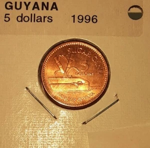 Guyana 1996 5 Dollars Copper Plated Steel Coin - Arms/Sugar Cane   BU - Picture 1 of 2