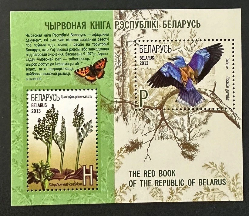 Hermosa hoja de recuerdo BIELORRUSIA 847a como nueva NUNCA con bisagras Foto 1 de 1