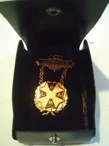 Odd Fellows Ladies Auxiliary Patriarchs Militant LAPM PLP Medal Michigan No.5 - Picture 1 of 4