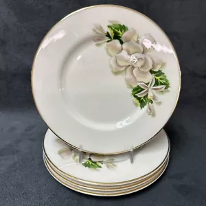 Fine Arts Fine China ORANGENBLÜTEN UND GARDENIEN Brotteller 6 1/4 Zoll - Bild 1 von 5