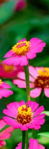 Marcador con clip 3D ZINNIA - Imagen 1 de 1