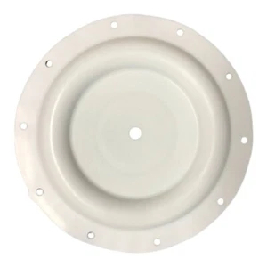 PTFE Diaphragm 95930 for Ingersoll Rand ARO Diaphragm Pump PD20P-FPS-PTT - Picture 1 of 2