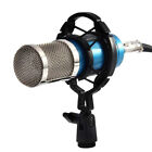 Universal Professional Condenser Microphone Mic Shock Mount Holder Bracket Aut
