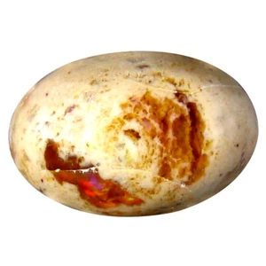 Piedra Preciosa Ópalo de Fuego Ópalo Ovalado Cabujón (15 x 10 mm) Sin Calentar México Matriz - Imagen 1 de 1