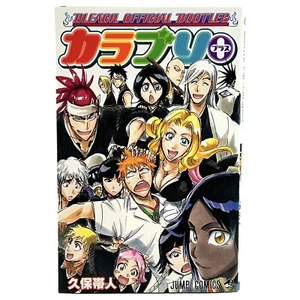 Libro Oficial Bleach Bootleg COLOR BLE Plus Japón Japonés - Imagen 1 de 15