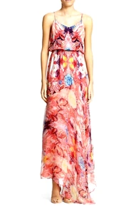 Haute Hippie $695 NWT 2 US 38 IT XS Silk Floral Love Her Madly Maxi Dress Runway - Picture 1 of 16