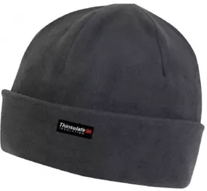 3M Thinsulate Lined Polar Fleece Beanie Acrylic Charcoal Thermal Insulated Warm - Picture 1 of 8