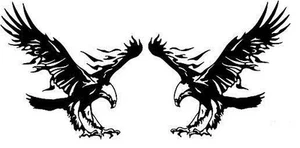 2 X LANDING EAGLES, WOHNMOBILE, WOHNWAGEN, AUTOS VAN, LKW, CAMPERVAN 4X4 HAUS - Bild 1 von 1
