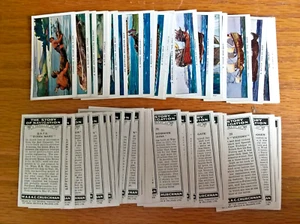 Churchmans cigarette cards: The Story of Navigation 1937 complete full set loose - Picture 1 of 1