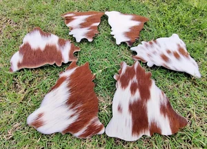 Handcrafted Real CowHide Leather/Hair-on /Coaster Set/Round Shape/ Coffee Tea - Bild 1 von 6