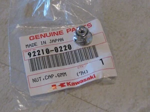 KAWASAKI VULCAN VN1700/1600/NOMAD/CLASSIC COWLING/WINDSHIELD 6MM NUT NOS! - Picture 1 of 1