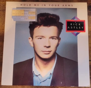 RICK ASTLEY Hold Me In Your Arms + 1989 Jones Beach Concert Stub 8589-1-R EX/VG+ - Picture 1 of 7