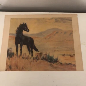 lillian wilhelm Smith Print Wild Horse Mess 1939 - Picture 1 of 11